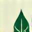 Natural Icon
